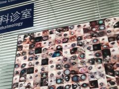 -芭比堂宠物医院·全科爱猫医院·仁德分院