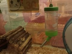 -龙猫仔乐园(惠福东路店)