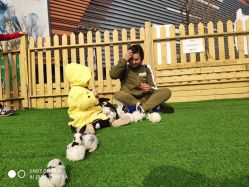 -萌宠亲子动物乐园(槐房万达店)