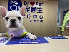 -宠颐生宠物医院外科·内科·皮肤科·影像科(石龙店)