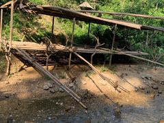 -西双版纳原始森林公园