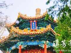 景点-景山公园