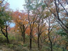 -国家植物园南园