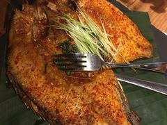 罗非鱼-云海肴·汽锅鸡·云南菜(天山百盛优客店)