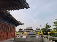 -大槐树寻根祭祖园