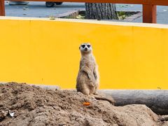 -北京野生动物园