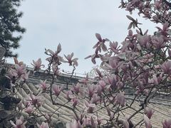 -潭柘寺景区