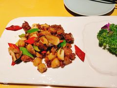 -素虎小呆鸟(西二旗店)