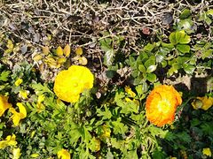 -无锡市市民中心