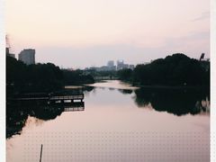 -新江湾城公园