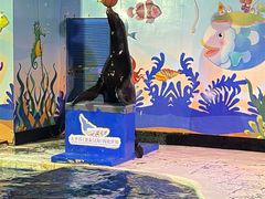 -太平洋海底世界