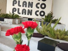-PLAN CO