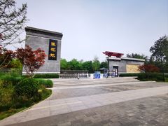 -莲花池公园