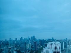 -上海龙之梦万丽酒店