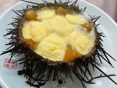 海胆蒸蛋-宾朋海鲜特色美食餐厅·纯手工鲅鱼水饺(兴海路店)