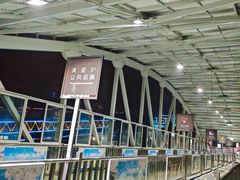 -武汉关码头(轮渡站)