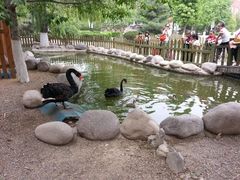 android_upload_pic-北京市海淀外国语实验学校