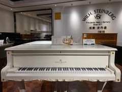 -柏斯音乐艺术中心·钢琴·吉他(上音店)