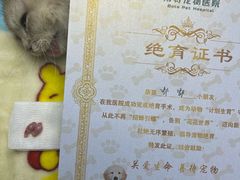 -博特宠物医院24h犬猫全科.骨科·异宠