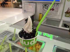 -Salud撒露欧洲冻酸奶(五道口购物中心店)