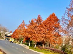 -T80科技文化国际社区-停车场