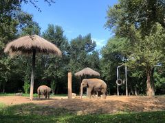 -北京野生动物园