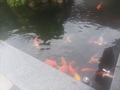-代术连山回锅肉创始人餐厅(小学店)