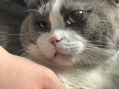 -达爱动物医院·犬猫分区·CT·复杂眼科(远洋山水分院)
