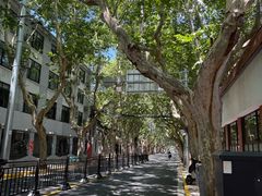 -瑞福园联谊餐室(茂名南路店)