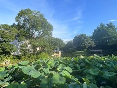 -杭州西子湖四季酒店·金沙厅