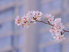 -西北湖绿化广场