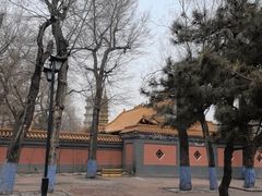 -哈尔滨极乐寺