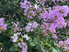 -杭州城北体育公园