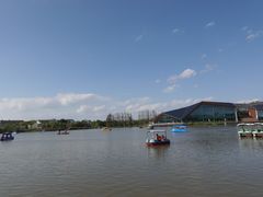 -上海长兴岛郊野公园