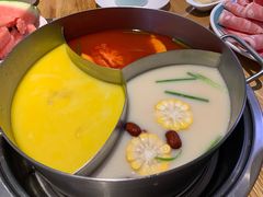 -青瓷火锅料理(西单大悦城店)