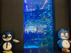 -成都浩海立方海洋公园