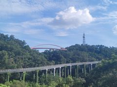 -金鸡山公园