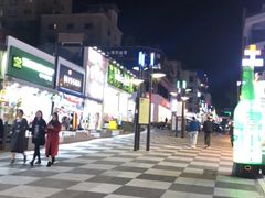 -宝健路步行街(Pedestrian Shopping Street)