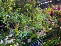-朝来春花卉市场