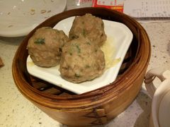 新会陈皮牛肉丸-又一间茶点轩(百汇广场店)