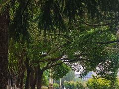 -后襄河公园