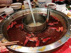 -谭鸭血老火锅(娄星区长青街店)
