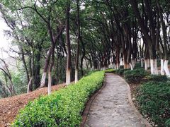 华东疗养院-上海市保健医疗中心(华东疗养院)