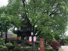 -梁鸿国家湿地公园