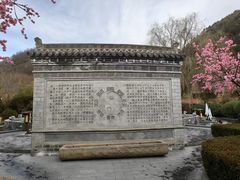 -麦积山温泉