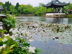 -无锡蠡湖国家湿地公园-蠡园