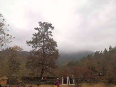 -塔川景区