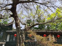 -成都杜甫草堂博物馆