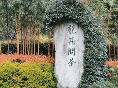 -十八棵（老龙井）御茶园(老龙井店)