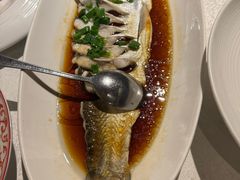 -金美华轩(东方路齐鲁店)